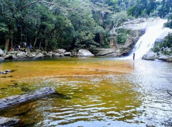 Ilha do Prumirim - Ubatuba