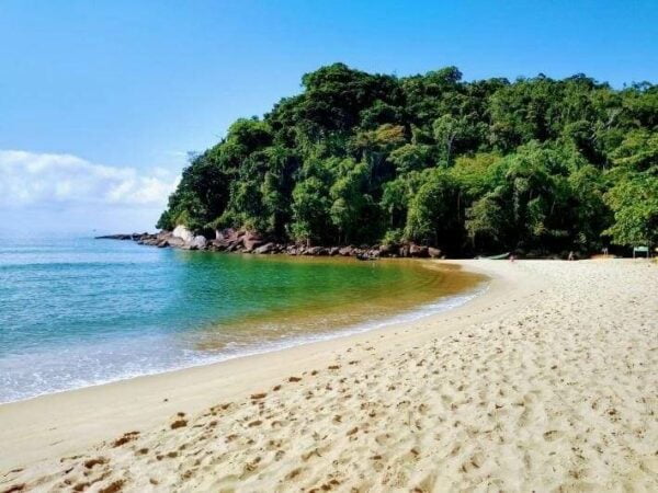 Ilha do Prumirim - Ubatuba