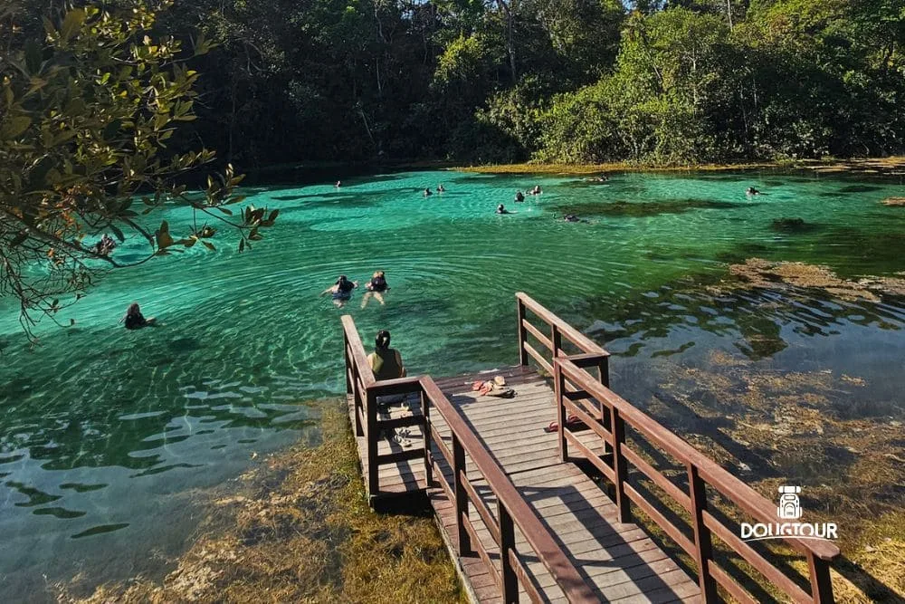 Serra do Roncador Barra do Garças com @Dougtour + Aéreo 2ª Ed.