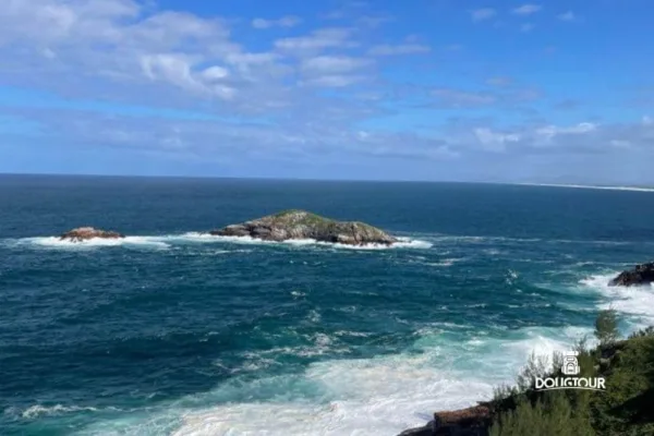 Arraial do Cabo + Búzios com Temporada de Baleias 2025