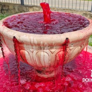Rota do Vinho em São Roque SP 5ª Ed.