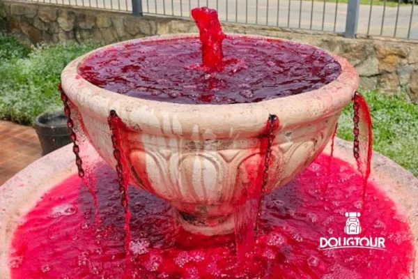 Rota do Vinho em São Roque SP 5ª Ed.