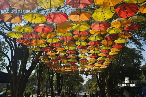 Holambra SP Day Use na Capital das Flores 4ª Ed.