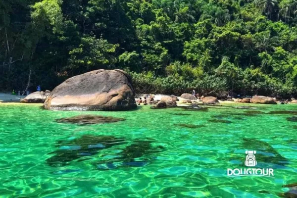 Ilha das Couves - Ubatuba-SP - 1ª Ed.