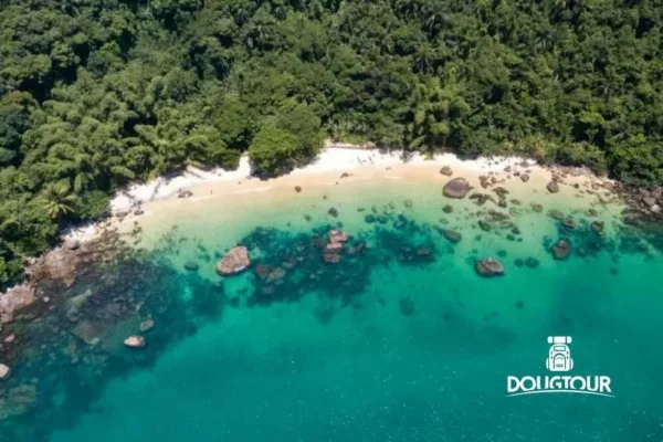 Ilha das Couves - Ubatuba-SP - 1ª Ed.