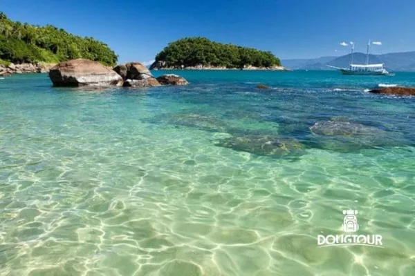 Ilha das Couves - Ubatuba-SP - 1ª Ed.