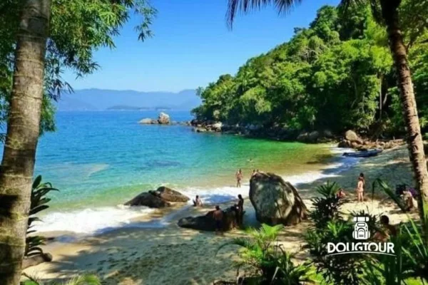 Ilha das Couves - Ubatuba-SP - 1ª Ed.