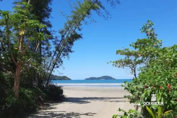 Pacote Ubatuba Praia do Estaleiro + Ilha dos Porcos