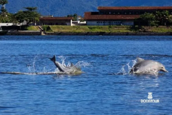 Ilha do Cardoso Cananéia com a @Dougtour 2ª Ed.