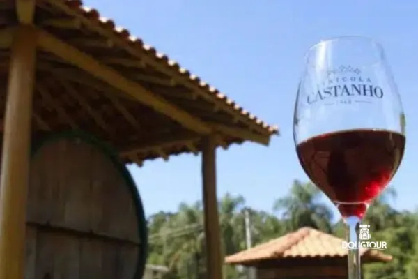 rota-da-uva-vinhos-jundiaí–sp–2ª-ed (5)