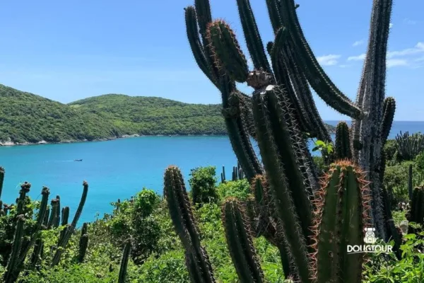 Arraial do Cabo Natal com Ceia com a @Dougtour