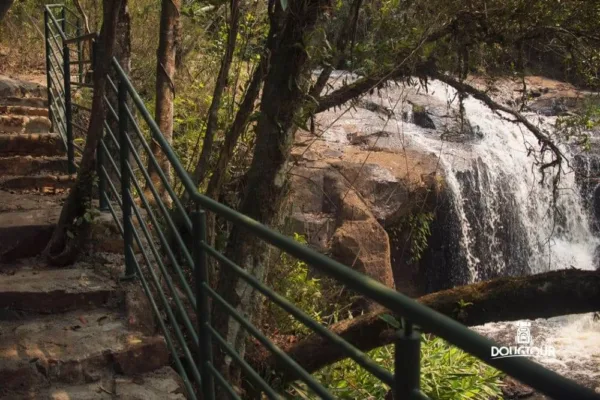 Fazenda Guaxinduva com a @Dougtour – 1ª Ed.