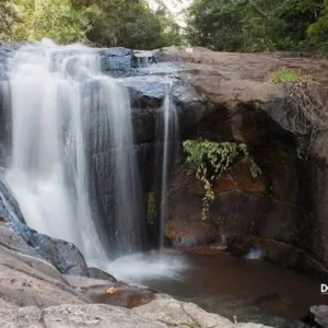 Fazenda Guaxinduva com a @Dougtour – 1ª Ed.