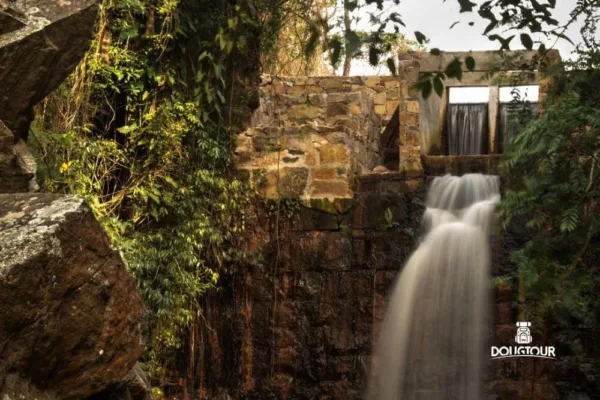 Fazenda Guaxinduva com a Dougtour – 1ª Ed (7)