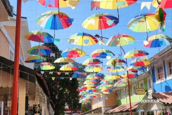 Penedo RJ com a @dougtour 1ª Ed.